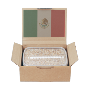 Mondo Grow Kit Mexican